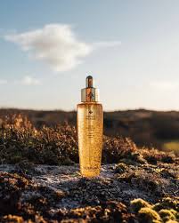 Image result for Harungana montana