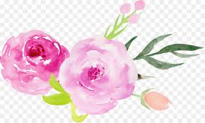 Invitacion De La Boda Rosas Centifolia Las Rosas De Jardin Imagen Png Imagen Transparente Descarga Gratuita