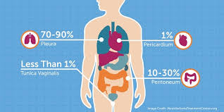 As many as one out of three types is of the biphasic variety, the national cancer institute estimates. Different Types Of Mesothelioma Mesothelioma Treatment Centers Org
