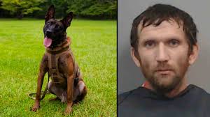 South Carolina man facing federal charge after killing police K-9