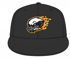 North gaston at hunter huss. Minor League Promos On Twitter The Brand New Gastoniaproball Gastonia Honey Hunters Team Store Is Live We At Least Have A Look At The On Field Hats Https T Co Bybnvykryk Https T Co Z0m2bttard