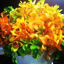 Shipping is fast and discreet. Photos At Flowers On The Park Upper West Side 1 Tip From 23 Visitors