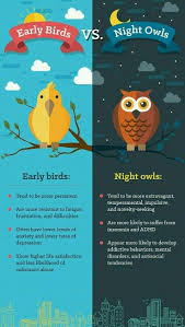 Early Birds Vs Night Owls So This Is Why I M A Night Owl Night Owl Quotes Morning Person Quote Night Owl