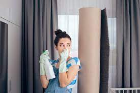 We did not find results for: How To Prevent Carpets From Smelling Saniclean Dry Carpet Cleaning