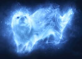 Harry potter and james potter share the patronus, the stag. Harry Potter Patronus Quiz Leicht Testedich