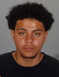 Males Arrested In Possession Of Loaded Firearm And Illegal Drugs For Sale