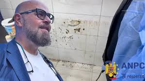 Piedone, Vedetă și La Timișoara