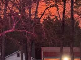 Pedestrian struck, projected into air, after simultaneously crossing FM  1960 as truck was coming