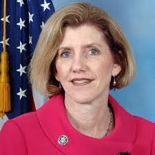 Q&A with Erie County Executive Candidate Kathy Dahlkemper