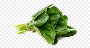 Terlebih lagi jika anda menambahkan bahan pelengkap di dalamnya. Bayam Sayuran Daun Daun Gambar Png