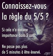 Lmp Lesmotspositifs Citation Citations Proverbe Pensee Motivation Inspiration Succes Penseedujour Phrasedujour Citationdujour Positif Quebec Qc