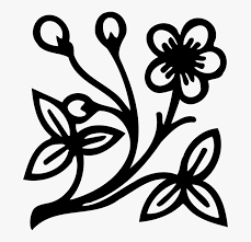 Once you get comfy with these techniques, you can interpret and apply them to any type of flower (not to mention the rest of your colored pencil projects). Art Symmetry Monochrome Photography Flower Design Drawing With Colour Hd Png Download Kindpng