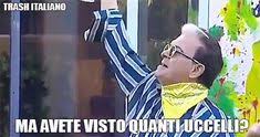 Non mi faccio prendere per il culo due volte, ho un'età e una carriera che mi permette di aprire bocca. 11 Idee Su Malgioglio Meme Divertenti Sarcasmo Divertente Immagini Divertenti
