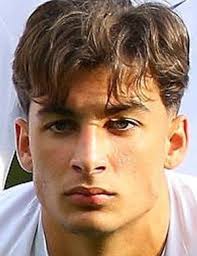 Toni Fernandez's Instagram, Twitter & Facebook on IDCrawl