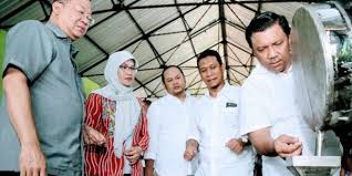 Shipments available for pt seoilindo primatama, updated weekly since 2007. Pt Sil Produk Kina Diversifikasi Produk Dan Transformasi Dalam Bisnis Minyak Atsiri Telusur
