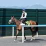 メイショウタバルで宝塚記念Ｖの武豊が函館競馬場で調教騎乗 レース振り返り「やっぱり折り合いって大事」としみじみ