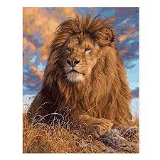 Maybe you would like to learn more about one of these? Baru 3d Diy Diamond Lukisan Singa Perkasa Hewan Rumah Dekorasi Berlian Imitasi Mosaik Bordir Diamond Inlay Jarum Rajut Hadiah Mosaic Embroidery Embroidery Diamonddiamond Painting Aliexpress