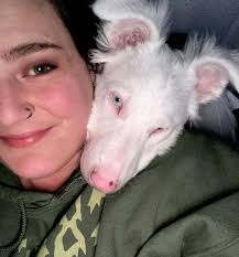 A Month at NMDR — In Moments That Matter From wagging tails and new  beginnings at our Peyton shelter to unforgettable moments at our recent  events, this past month has been full