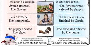 Pada soal di atas, kalimat aktif menunjukkan. Contoh Soal Passive Voice Beserta Jawaban Terbaru Tense Muttaqin Id