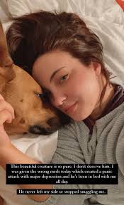 For anyone who was asking update charlie b and several others were  euthanized today. If people do not step up and foster/adopt from your local  shelters this will continue to happen. So