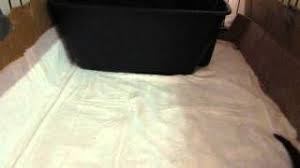 Colony Cat Birthing Box Ideas Cat Care Youtube