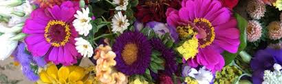 Best cutting flowers to grow in the home garden. Cut Flowers