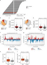 Grants are administered to scientists working in laboratories, universities and hospitals by our research management unit while our clinical trials office works with and supports the. Mcl 1 Gains Occur With High Frequency In Lung Adenocarcinoma And Can Be Targeted Therapeutically Nature Communications
