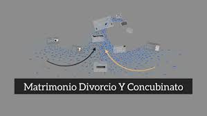 Matrimonio Divorcio Y Concubinato by elida Angulo