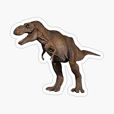 Available in a range of sizes for men, women, boys, girls and kids of all ages. Rexy Gifts Merchandise Redbubble