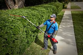 Milwaukee shoulder syndrome is a severe destructive arthritis of the glenohumeral joint with loss of the rotator cuff associated with the presence of bcp crystals. M18 Fuel 10 Pole Saw Kit With Quik Lok Milwaukee Tool