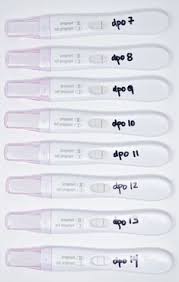 faint positive pregnancy test