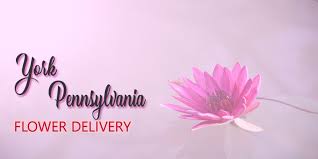 Stagemyer flower shop, york, hrabstwo york, pensylwania, stany zjednoczone — lokalizacja na mapie, telefon, godziny otwarcia, opinie. The 6 Best Options For Flower Delivery In York Pennsylvania 2021