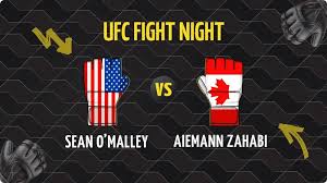 Palpite Sean O’Malley x Aiemann Zahabi | UFC Casa Branca | 14/06/2026
