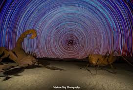 The creatures pop up alongside borrego springs road: Photographer Captures Spectacular Star Trails Over Sculpture Park Space