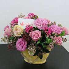 We did not find results for: How To Say Get Well Soon Send A Flower Basket Flowergift Gift Flowershopping Flowershop Photooftheday Flo Flowers Delivered Flower Gift Pink Carnations
