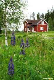 Www Meer Land De Galerie Nature Schwedisches Haus Norwegen Haus Rote Hauser