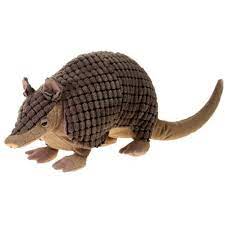 Pin On Armadillo