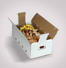 Custom Mushroom Kit Boxes | Mushroom Packaging Boxes