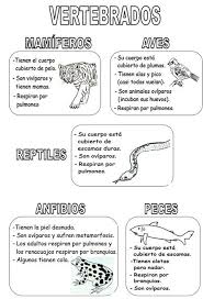 Rosmy Rivera (shyfish92)