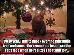 Every Year I Like To Knock Over The Christmas Tree And Smash The Ornaments Just To See The Cat S Fac Christmas Tree Quotes Christmas Cats Funny Christmas Tree
