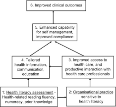 Formally launch and implement the plan which becomes part of your organizational practices and policies. The Evolving Concept Of Health Literacy Sciencedirect