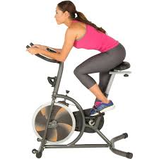fitness reality s275 indoor cycling
