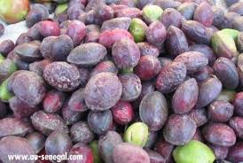 Guerte Toubab Fruit Fruits Fruits Exotiques