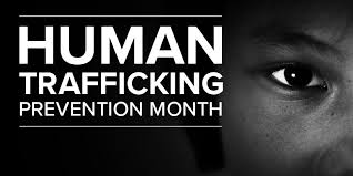 Image result for Human Trafficking