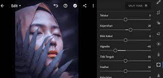 Kumpulan rumus lightroom keren ala selegram & artis. Rumus Lightroom Dark Moody Asalkata