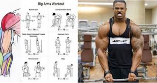 Ramai yang mengalami kecederaan semasa mengangkat barang kerana menggunakan teknik yang salah iaitu menggunakan pinggang. 18 Latihan Dumbbell Terbaik Untuk Biceps Dengan Gambar Ob Fit Com