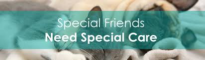 We are dedicated to providing the highest level of veterinary medicine along with friendly, compassionate service. Veterinarian In Garden City Mi Garden City Veterinary Hospital