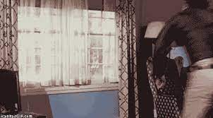 Похожие запросы для money out the window gif. Funny Gif Guy Jumps Out Window Who Ate All The Pies