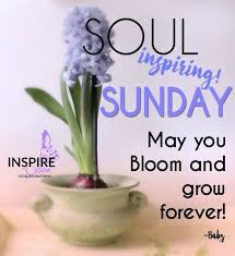 Soul Inspiring Sunday Good Morning Sunday Sunday Quotes Good Morning Quotes Happy Sunday Quotes Sunday Quotes Weekend Greetings