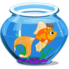Smileys App With 1000 Smileys For Facebook Whatsapp Or Any Other Messenger Cartoon Goldfish Goldfish Cute Paintings
